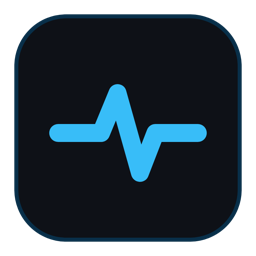 API Partner icon